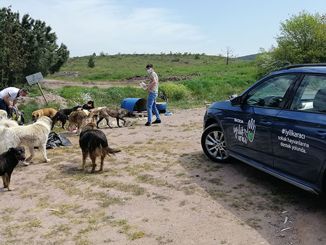 Skoda İyilik Araçları Sokak Hayvanlarını Unutmadı - OtonomHaber