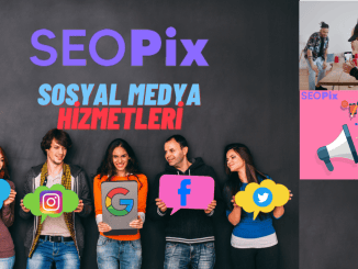 Sosyal Medya Hizmetleri - OtonomHaber