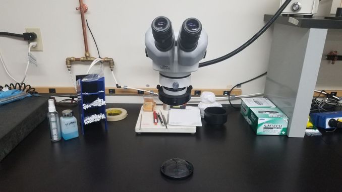 Optik Mühendisi Nedir, Ne İş Yapar, Nasıl Olunur? Optik Mühendisi Maaşları 2022 - OtonomHaber