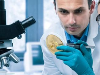 Genetik Mühendisi Nedir, Ne İş Yapar, Nasıl Olunur? Genetik Mühendisi Maaşları 2022 - OtonomHaber