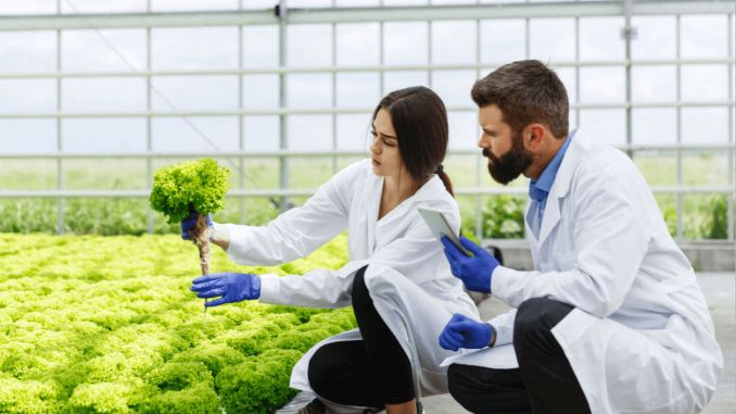 Ziraat Mühendisi Nedir, Ne İş Yapar, Nasıl Olunur? Ziraat Mühendisi Maaşları 2022 - OtonomHaber