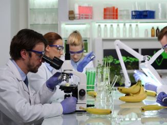 Gıda Mühendisi Nedir, Ne İş Yapar, Nasıl Olunur? Gıda Mühendisi Maaşları 2022 - OtonomHaber
