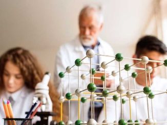 Biyoloji Öğretmeni Nedir, Ne İş Yapar, Nasıl Olunur? Biyoloji Öğretmeni Maaşları 2022 - OtonomHaber