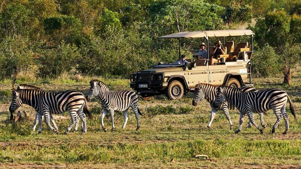safari safari