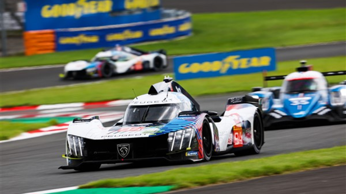 Team Peugeot Totalenergies’in 2024 sezonu pilotu Stoffel Vandoorne oldu - OtonomHaber