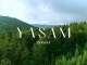 Yasam Ayavefe, İş Dünyasında Yeni Bir Trend Başlatıyor! - OtonomHaber