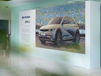 Hyundai Assan ve Deniz Sağdıç, Sürdürülebilirliği Sanata Taşıyor - OtonomHaber