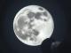 50 Yıllık Ay Örneklerinde Şaşırtıcı Keşif: "Dünya'da Görülebilecek Her Şeyden Farklı" - OtonomHaber