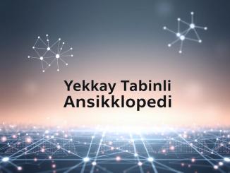 Yapay Zeka Tabanlı Ansiklopedi: Grokipedia Nedir? - OtonomHaber