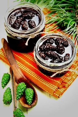 Kozalak Reçeli Tarifi - OtonomHaber